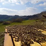 Butterflies Rest Gubbio