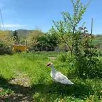 Butterflies Rest Bed and breakfast Gubbio