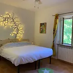 Butterflies Rest