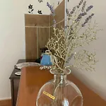 Butterflies Rest Bed and Breakfast Γκούμπιο