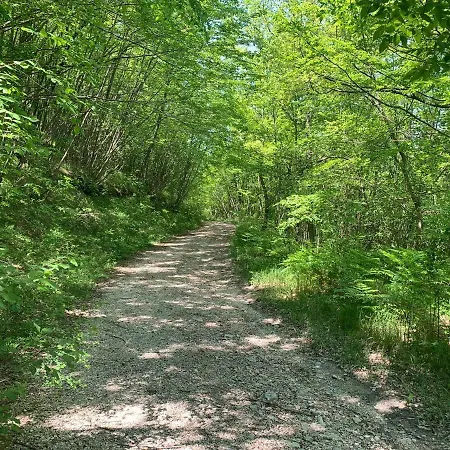 Bed & Breakfast Butterflies Rest