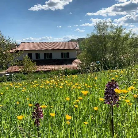 Bed & Breakfast Butterflies Rest Gubbio