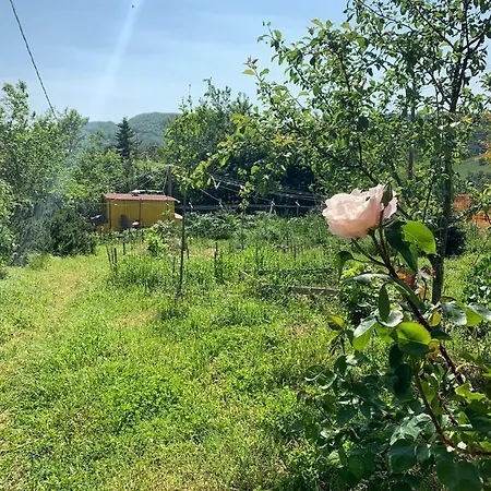 Butterflies Rest B&B