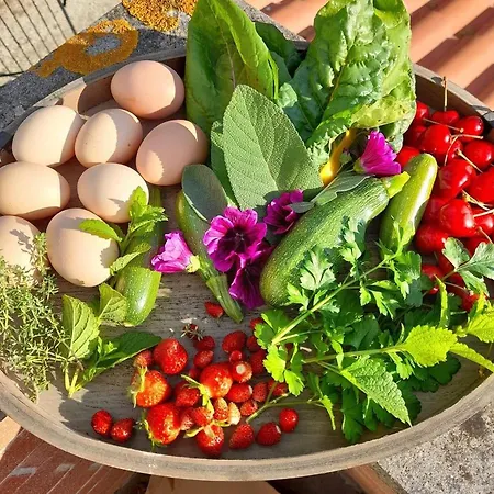 Butterflies Rest Bed & Breakfast 3*