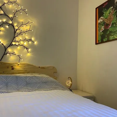 Butterflies Rest 3*