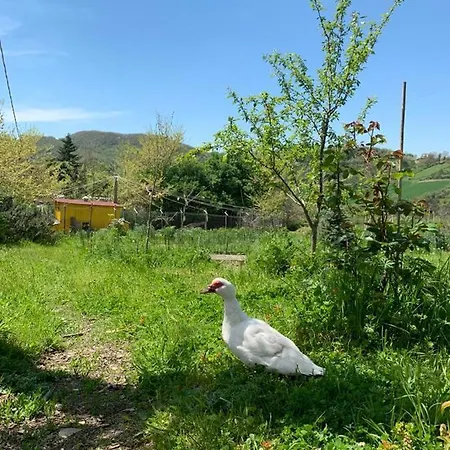 Butterflies Rest Bed & Breakfast Gubbio