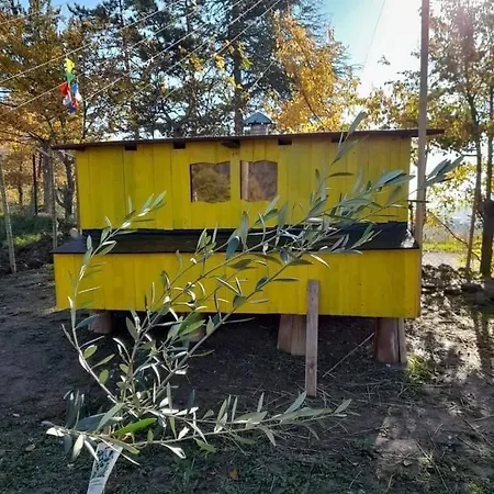 Butterflies Rest Gubbio