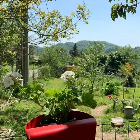 Butterflies Rest B&B 구비오