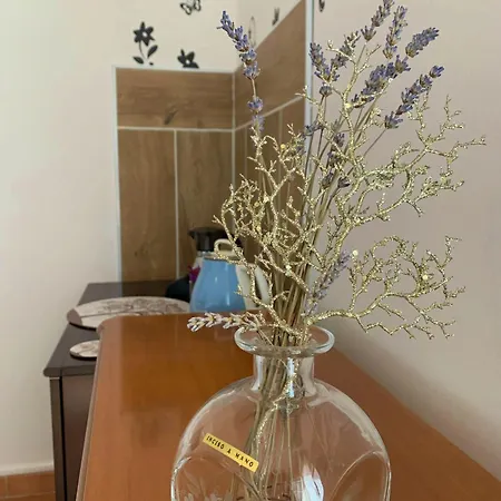 Butterflies Rest B&B 구비오
