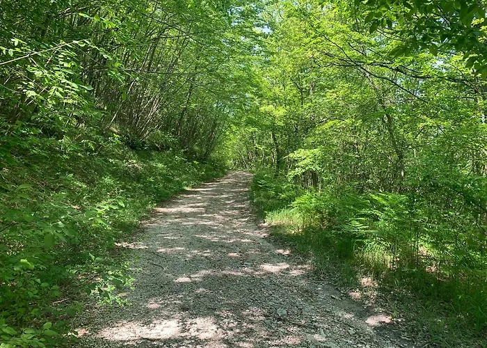 B&B Butterflies Rest