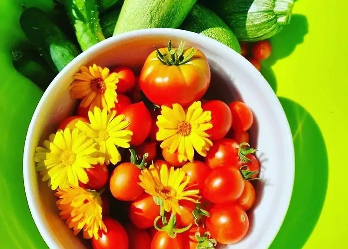 Butterflies Rest לינה וארוחת בוקר גוביו