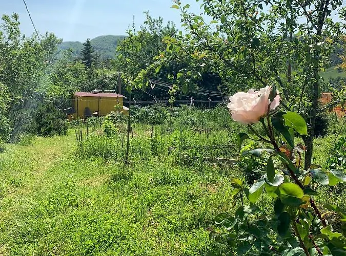 Butterflies Rest B&B