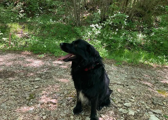 B&B Butterflies Rest 3*