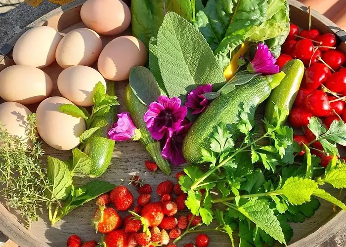 Butterflies Rest לינה וארוחת בוקר 3*