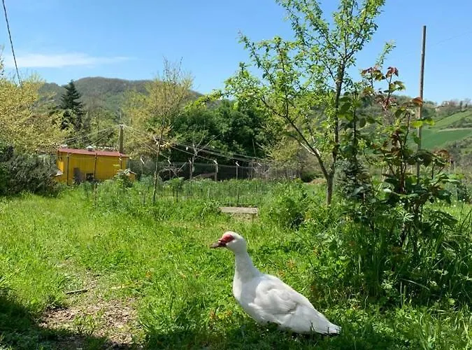 Butterflies Rest B&B 구비오