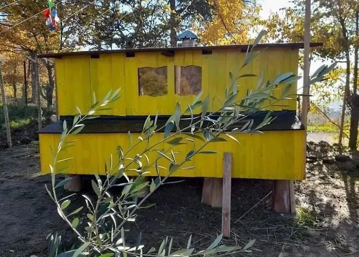 Butterflies Rest 구비오