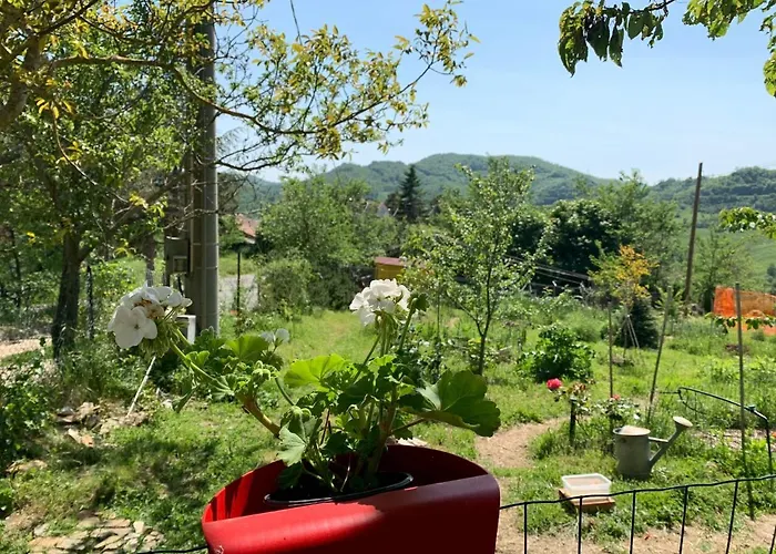 Butterflies Rest B&B 구비오