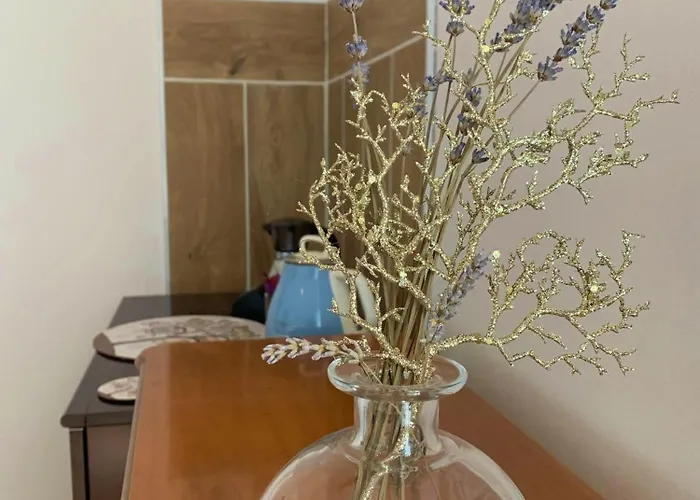 Butterflies Rest לינה וארוחת בוקר גוביו