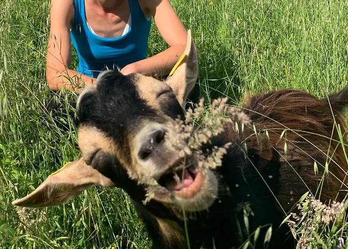 Butterflies Rest 3* 구비오