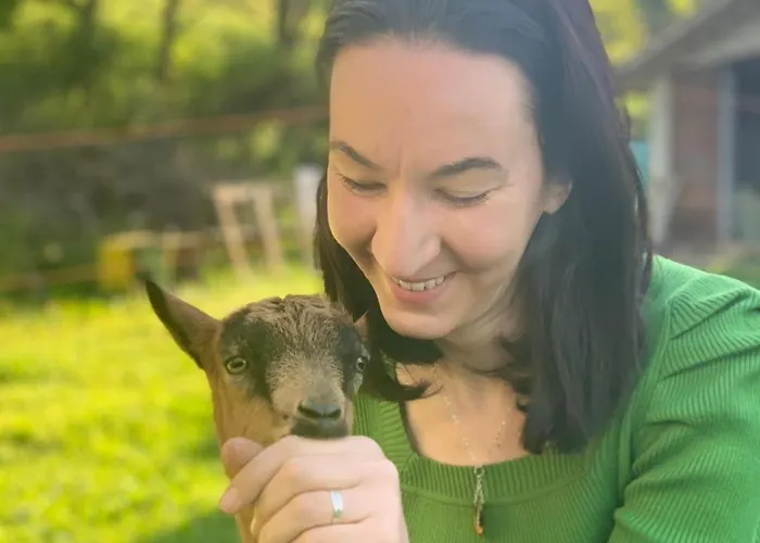 B&B Butterflies Rest 구비오